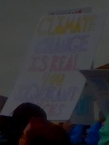 Climate Change Is Real, You Ignorant ****s! (This was one of very few unclever posters.)